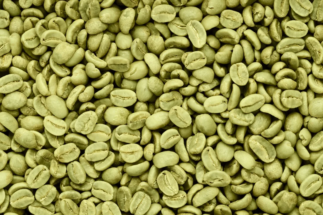 zielone ziarna kawy